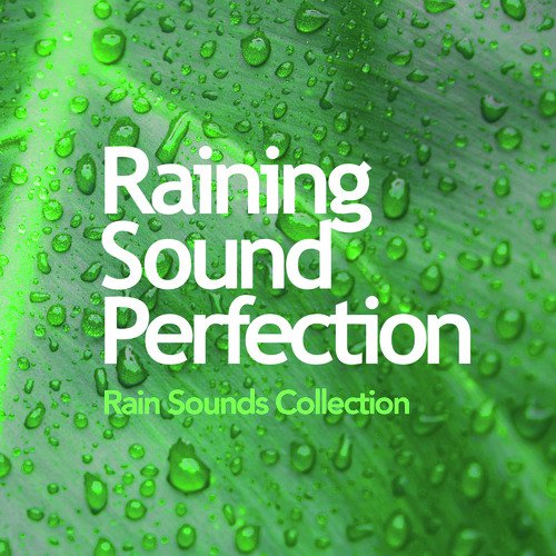 Rain Sound